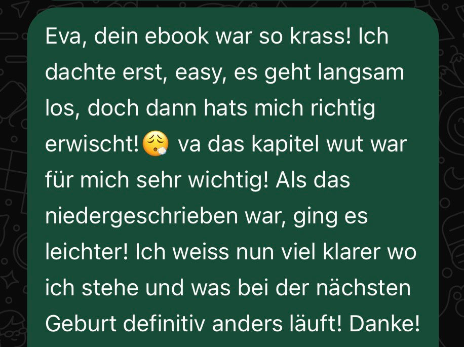 Geburtsintegration E- & Workbook