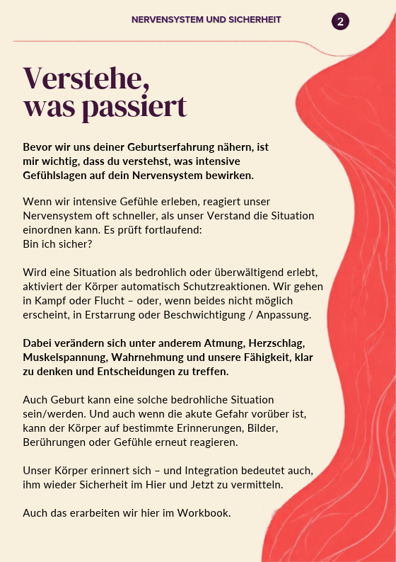 Geburtsintegration E- & Workbook